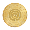 Creative Gold DIY Metal Coin