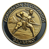 brass metal enamel challenge coin
